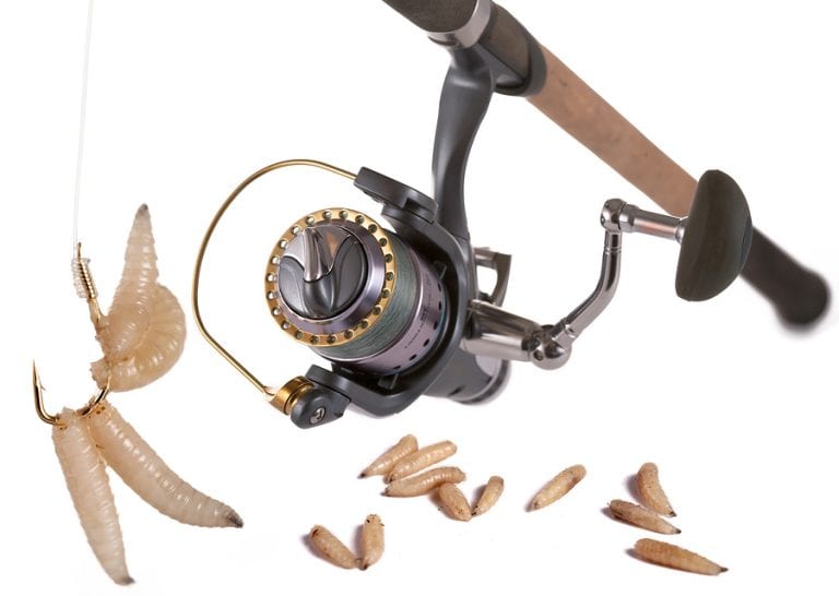 7 Best Baitrunner Reels under $100 in 2021