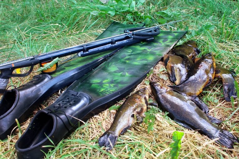7 Best Carbon Fins for Spearfishing in 2021