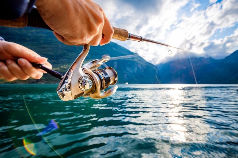 6 Best Spinning Rods under $100 in 2021