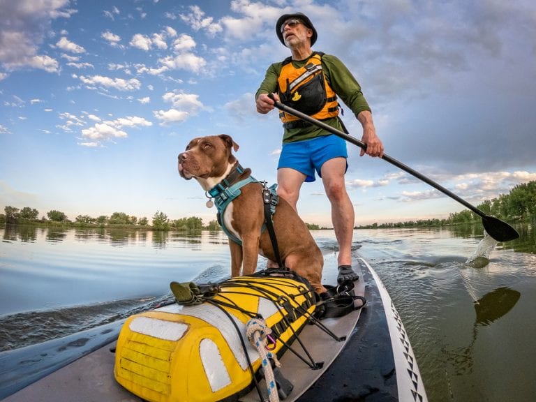 7 Best Sit On Top Kayaks for Dogs in 2021